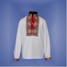 Embroidered shirt for boy "Parubok" red